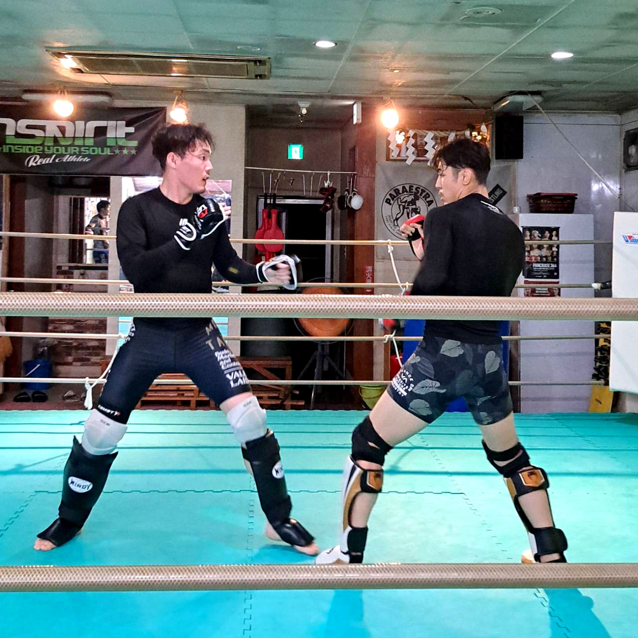 PANCRASE 364