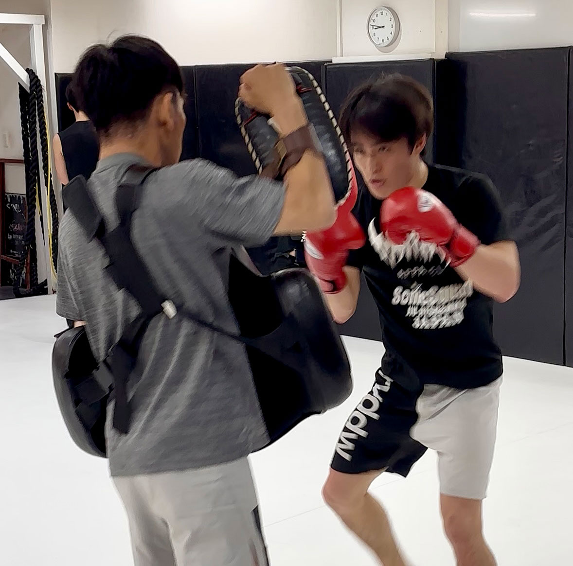 PANCRASE BLOOD.12