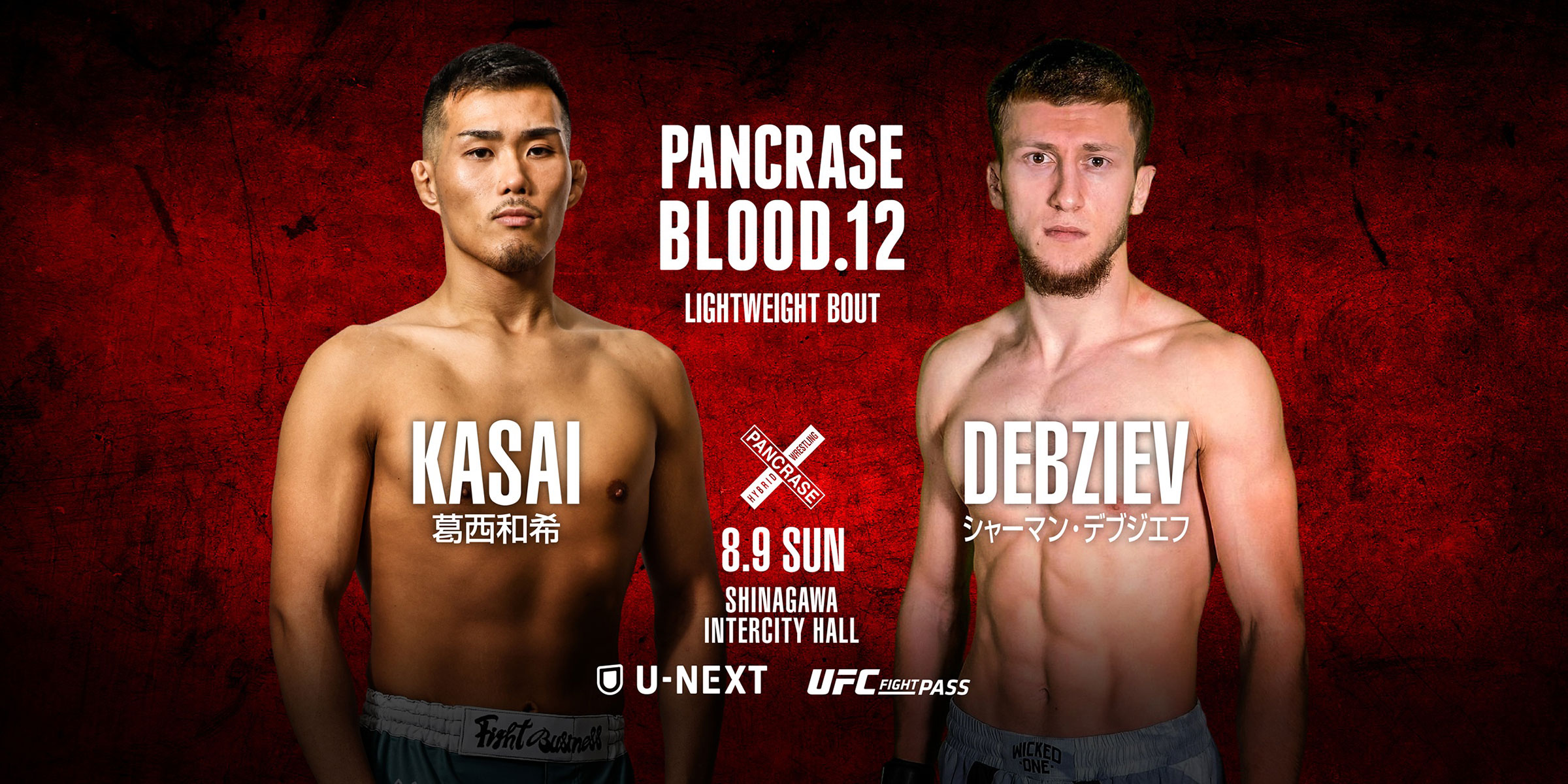 PANCRASE BLOOD.12
