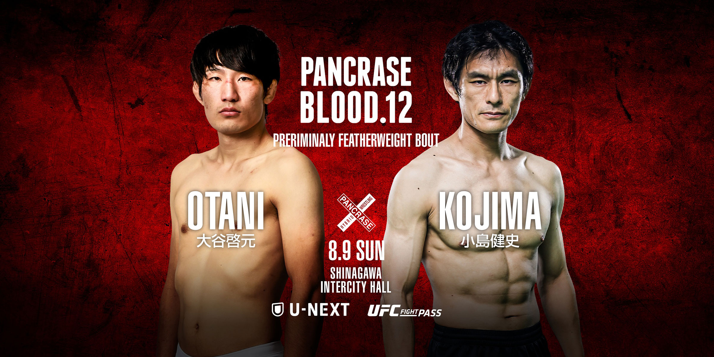 PANCRASE BLOOD.12
