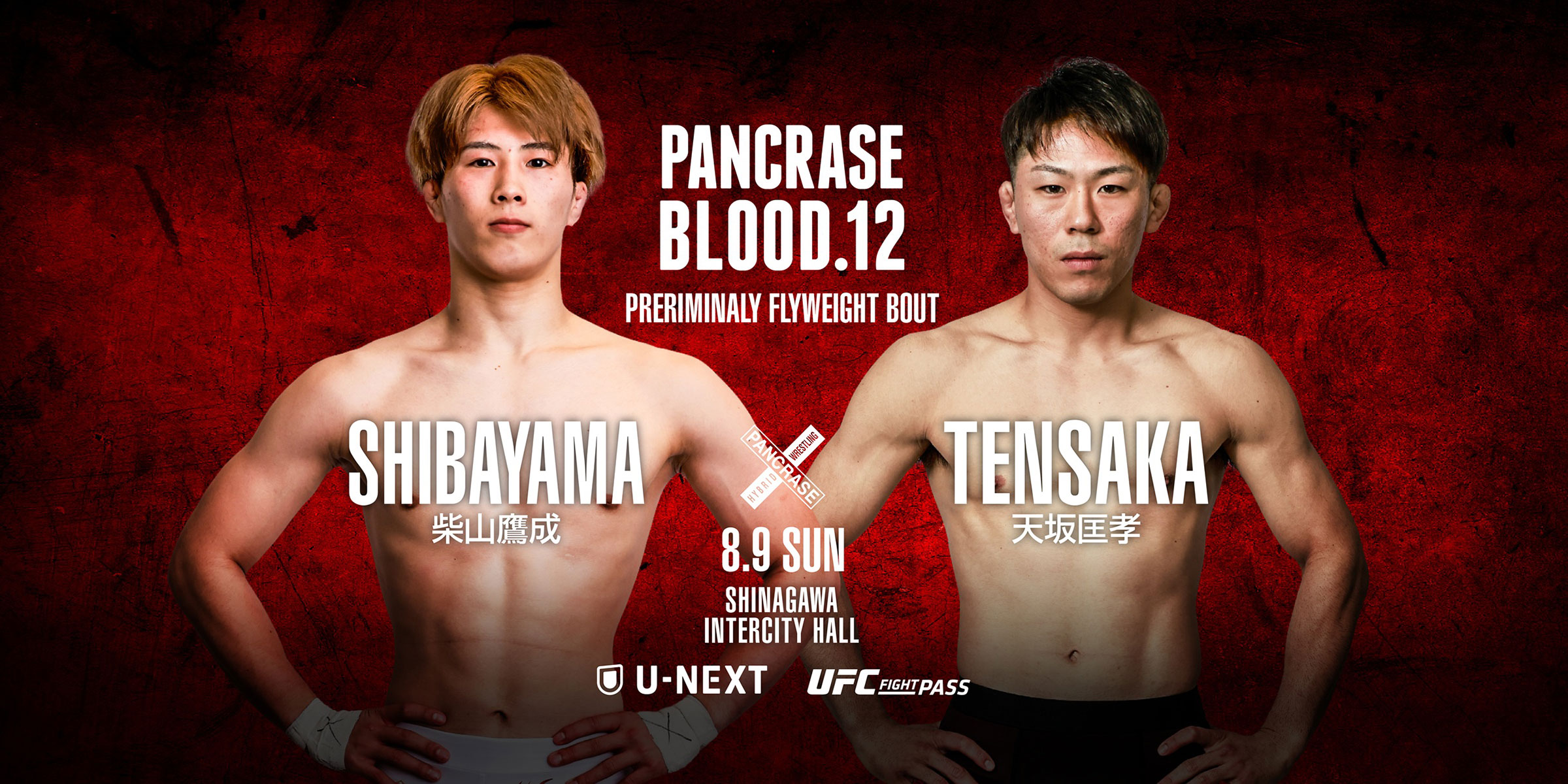 PANCRASE BLOOD.12
